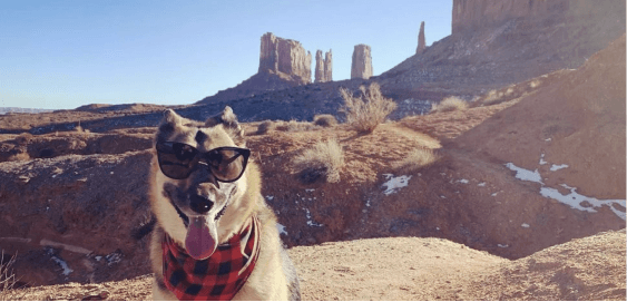 mobile landing cover image