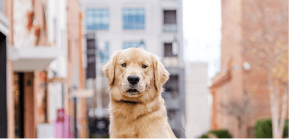 mobile landing cover image