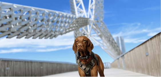 mobile landing cover image