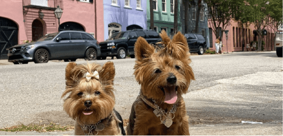 mobile landing cover image