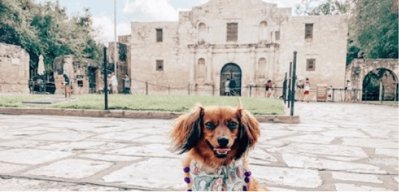 mobile landing cover image