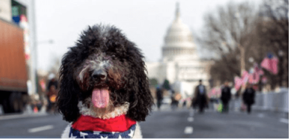 mobile landing cover image