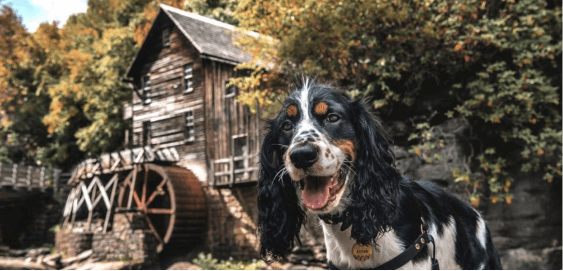 mobile landing cover image