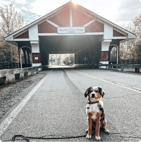 desktop landing cover