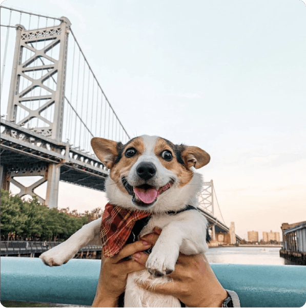 desktop landing cover