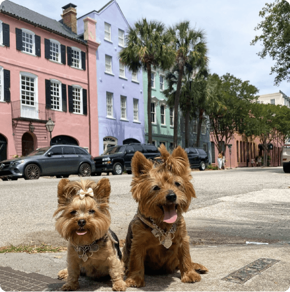 desktop landing cover