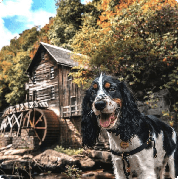 desktop landing cover