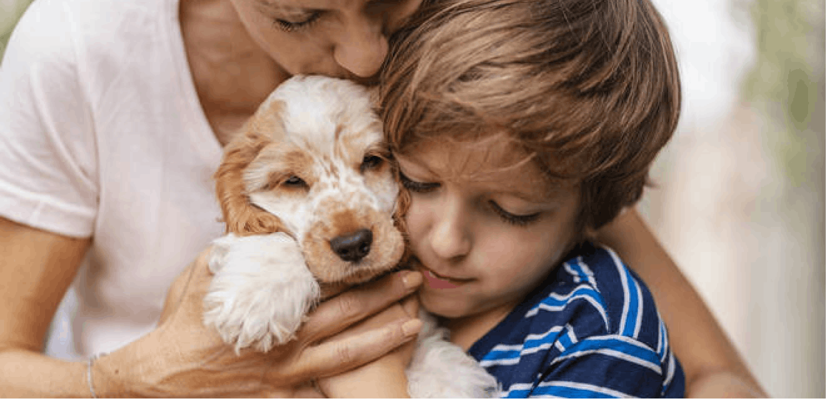 Best Dogs for Families with Kids